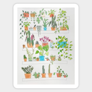 Colorful Houseplant Shelf Sticker